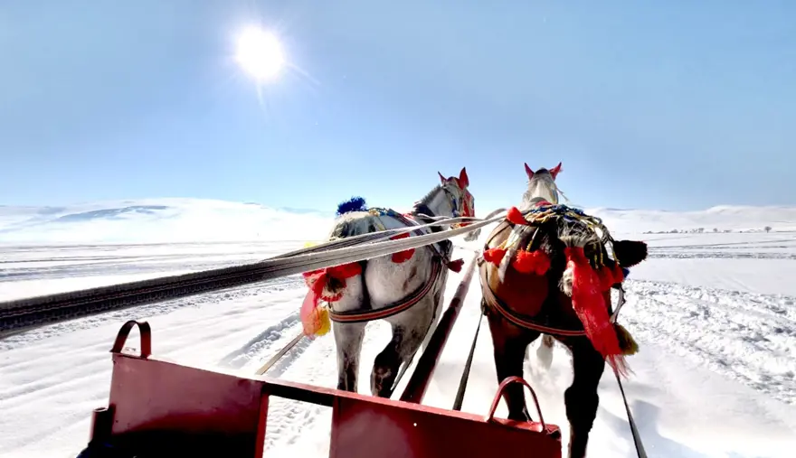 Buzla kaplı Çıldır Gölü'nde atlı kızakla gezinti keyfi 2