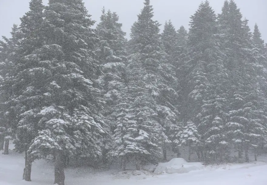 Uludağ'da kar kalınlığı 10 santimetreyi geçti 7 Uludağ'da kar kalınlığı 10 santimetreyi geçti 7