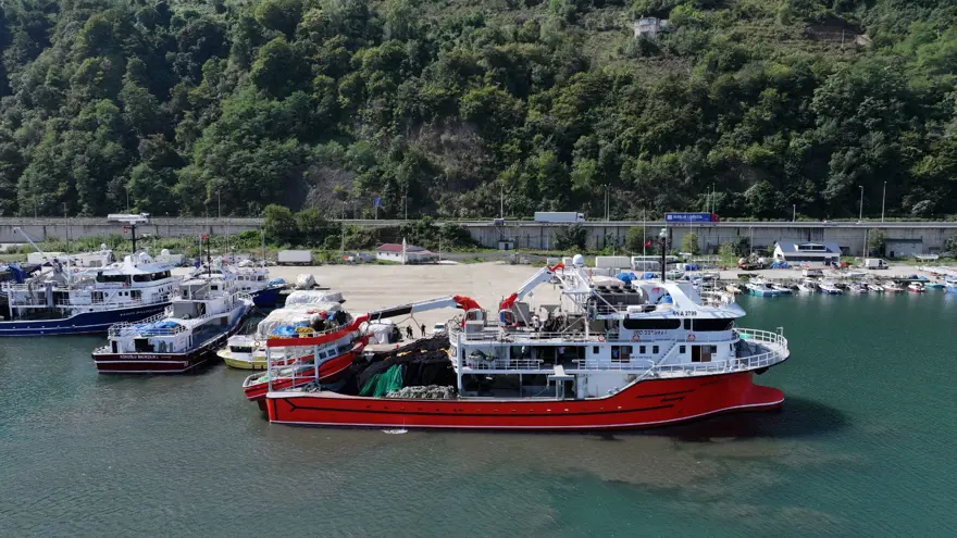 Karadenizli balıkçıların tezgahlarını süsledi: Kilosu 100 liradan başlıyor 3