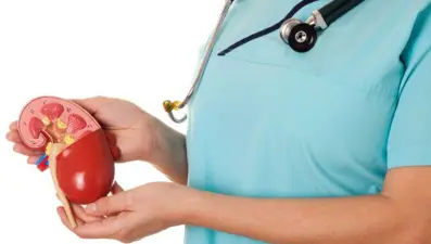 Çocuk nefrolojisindeki  gelişmeler Antalya'da masaya yatırılıyor