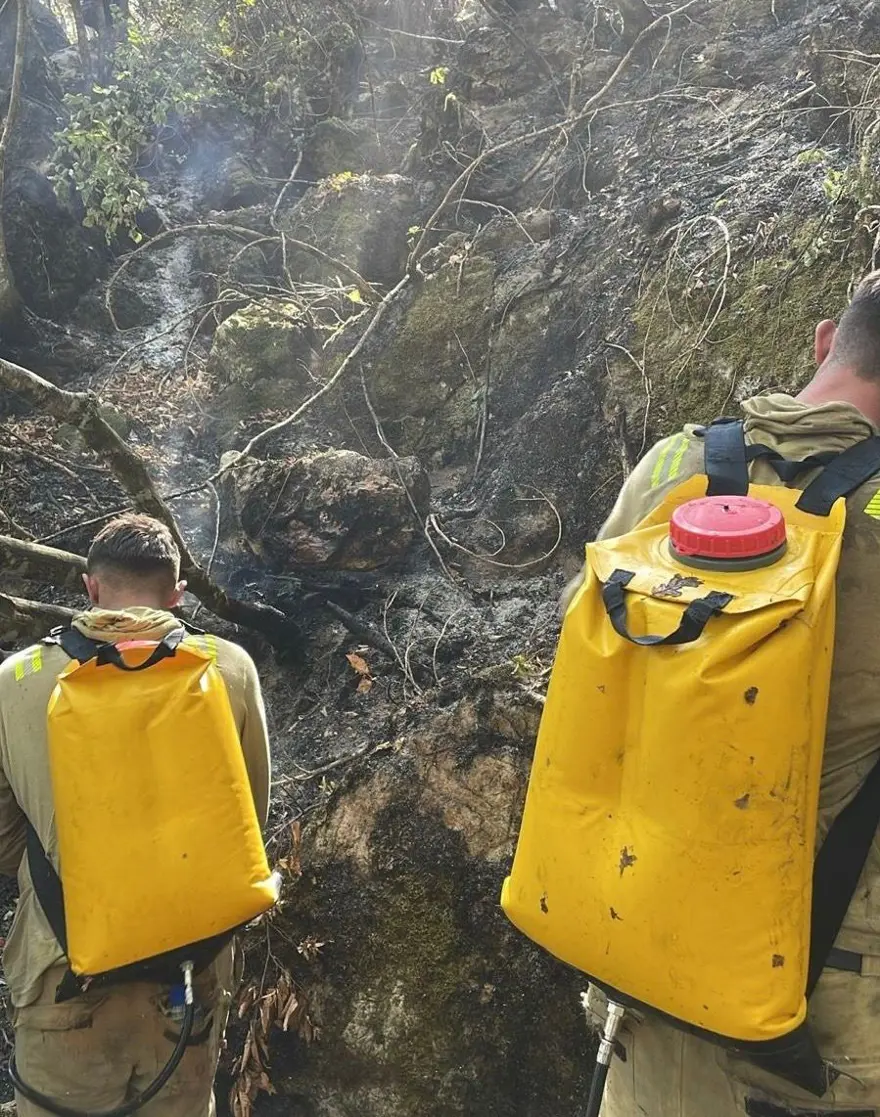 Küre Dağları Milli Parkı'ndaki yangın | Orman işçileri, alevlerden son anda kurtuldu 2