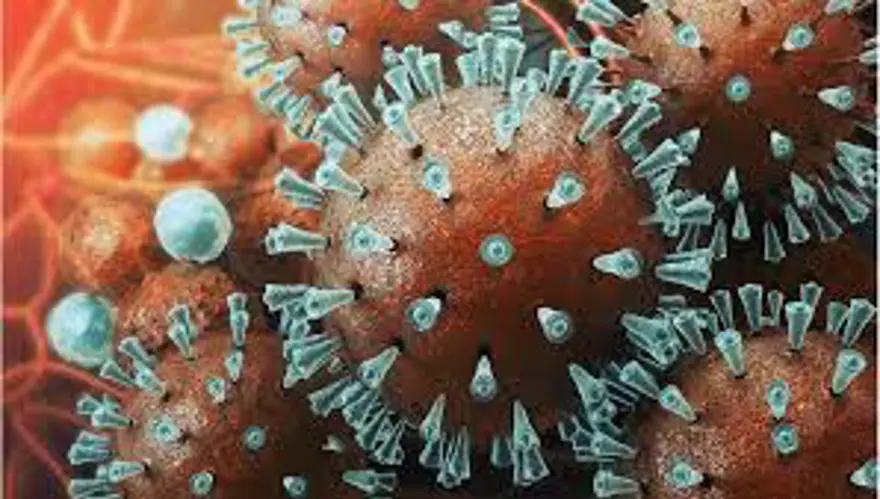 ÖZBEKİSTAN’DA 48 BİN KİŞİ GÖZETİMDE 7 ÖZBEKİSTAN’DA 48 BİN KİŞİ GÖZETİMDE 7