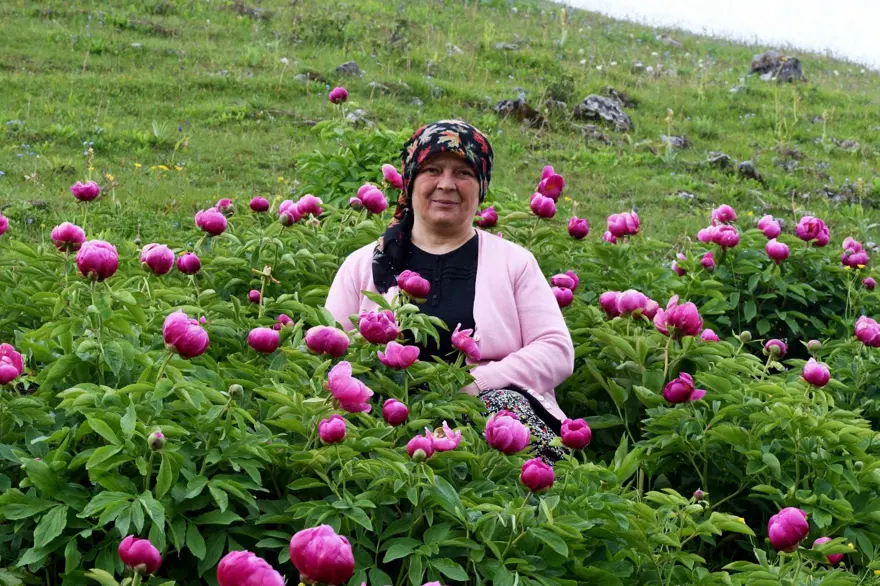 Yılda sadece 10 gün açıyor: Koparmanın cezası 557 bin TL 1 Yılda sadece 10 gün açıyor: Koparmanın cezası 557 bin TL 1