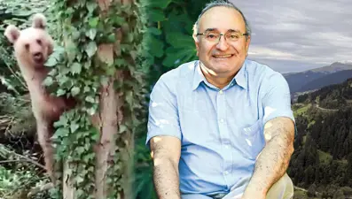 Boz ayı ünlü meteoroloji profesörünün peşini bırakmıyor