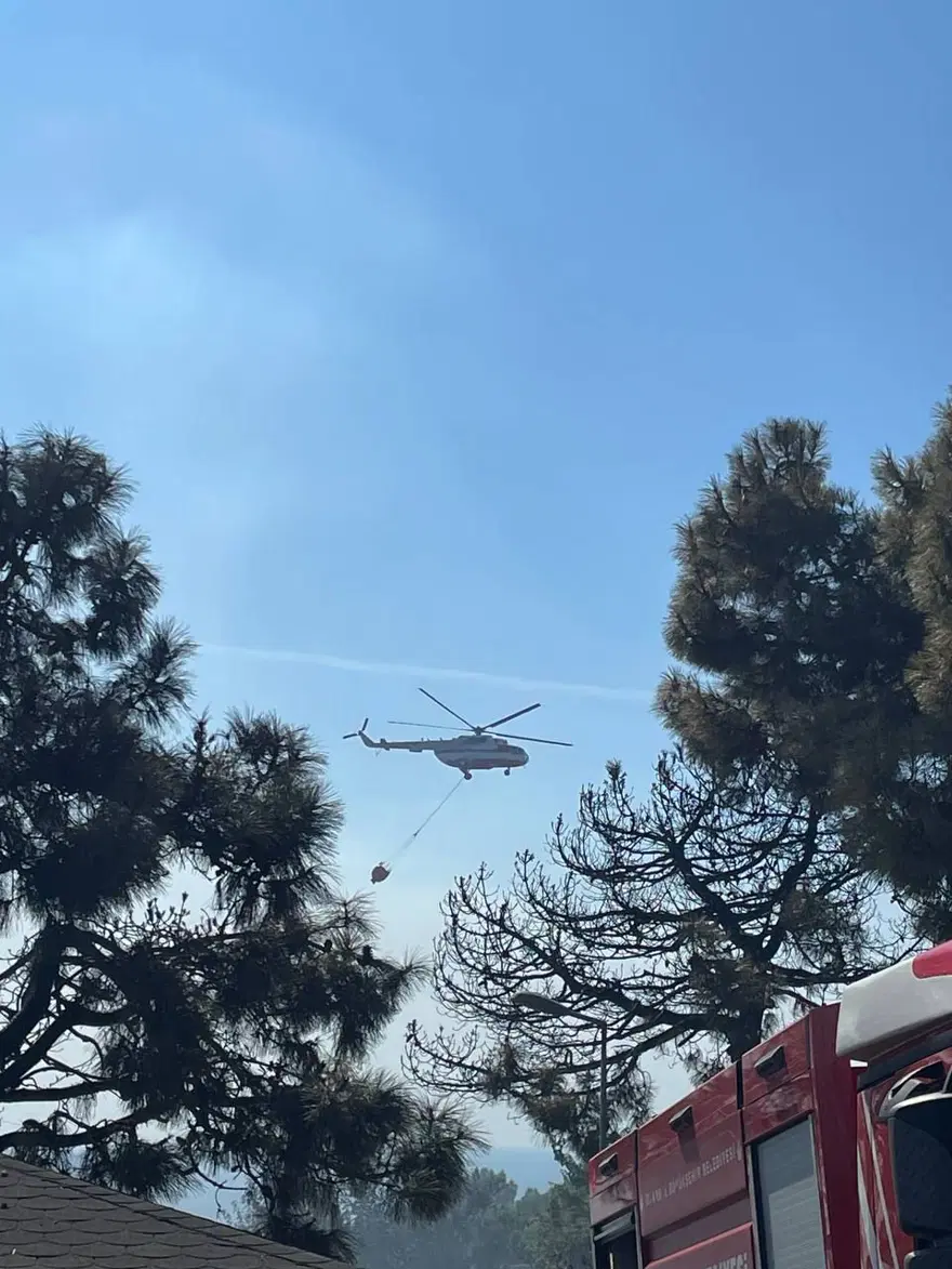 İstanbul Maltepe'de orman yangını 12