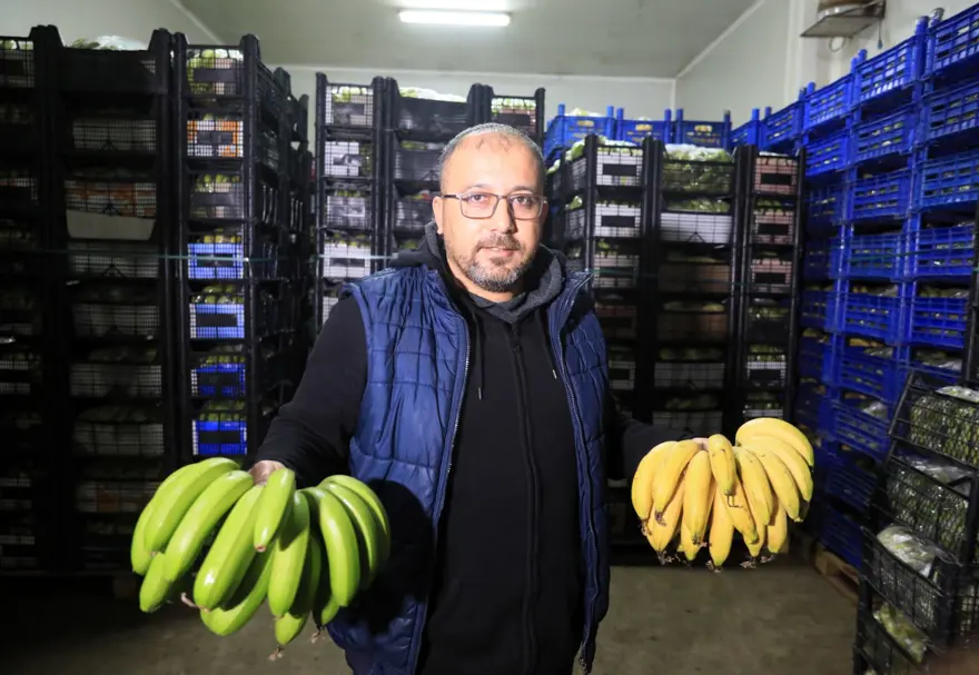 'YEŞİL MUZUN İÇİNE ELMA KOYUNCA YİNE OLGUNLAŞIYOR' 8