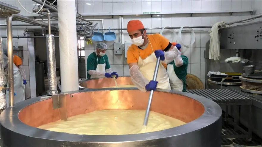 Kars'ta dünyaca ünlü gravyer peynirinin üretimine başlandı 2