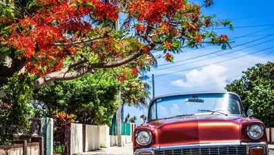 Ukrayna savaşıyla durdurulan Rusya-Küba uçuşları tekrar başladı