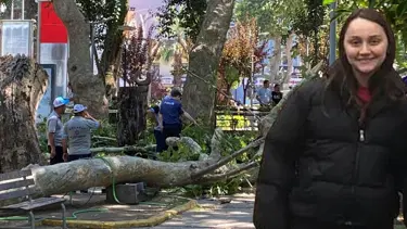 Kocaeli'de üzerine ağaç devrilen genç kız yaşam mücadelesini kaybetti