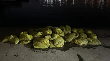 Hepsi İstanbul'da ele geçirildi!1,5 ton kaçak midye