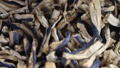 Yörede "kofik" olarak biliniyor: 150 liradan tezgahta