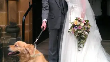 Balayında köpek balığına yem oldu