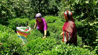 Zor İşler 39.Bölüm