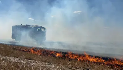 Tekirdağ'da 500 dönüm anız küle döndü