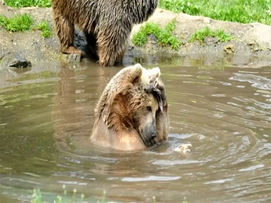 CAMİLERDEN YAPILAN ANONSLARLA HALK UYARILDI 5