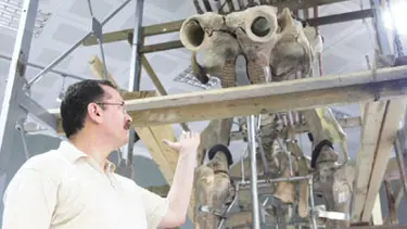 Türkiye'nin mamutları ayağa kalkıyor
