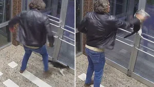 Kedi düşmanı yine sahnede - Hapis cezası yetmedi Kedi düşmanı yine sahnede - Hapis cezası yetmedi