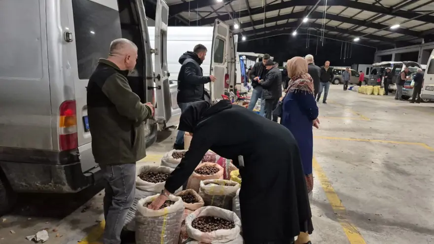 Pazara indi, fiyatı 400 TL'ye kadar çıkıyor: Sıkı pazarlıkla alıcı buluyor 3