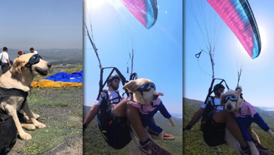 Sokaktan gökyüzüne: Köpeğiyle yamaç paraşütü yapıyor
