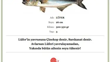 Lüfer ne zaman kurtulacak?
