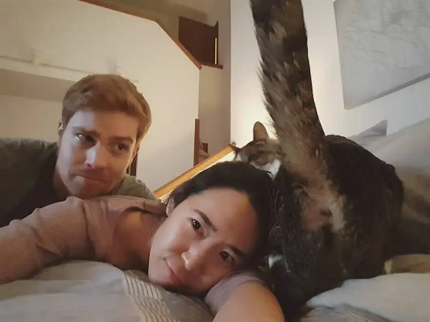 Fotoğrafın odak noktasını bir anda değiştiren kediler 26