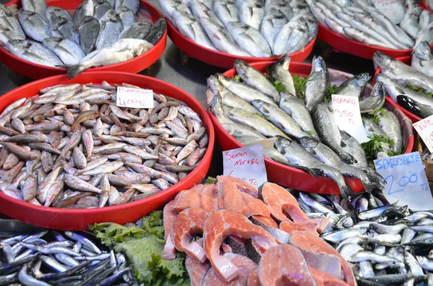 Mevsimin en lezzetli balıkları: Tezgahlar dolu, herkesin yüzü güldü 