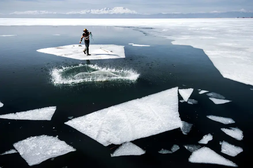 Balık fotoğrafı yarışmasında kazananlar belli oldu 10