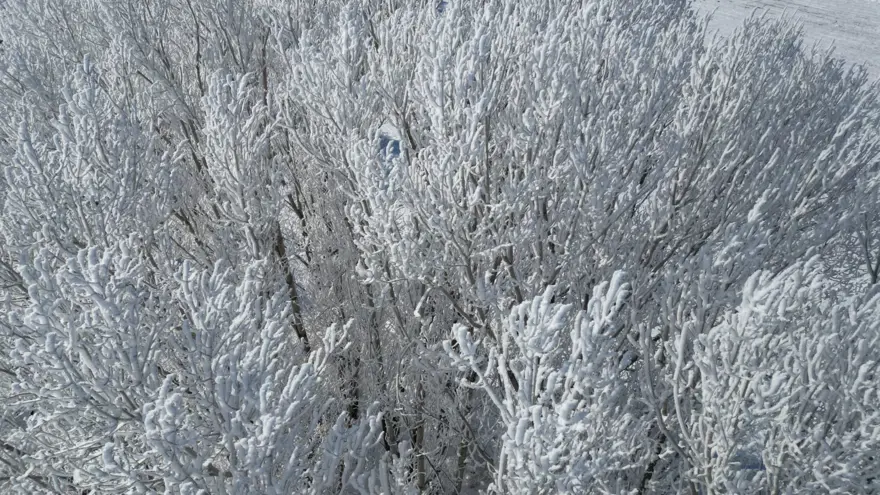 Sivas buz kesti: Kızılırmak Nehri kısmen dondu 7 Sivas buz kesti: Kızılırmak Nehri kısmen dondu 7