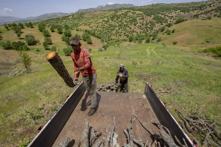 Ekmeklerini mangal kömüründen çıkarıyorlar 17