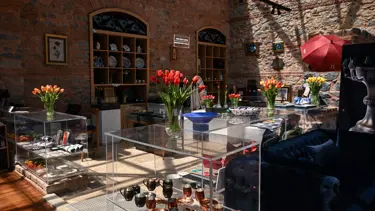İstanbul lalesi yeniden üretilecek