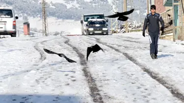 Sarıkamış’a Nisan’da kar yağdı