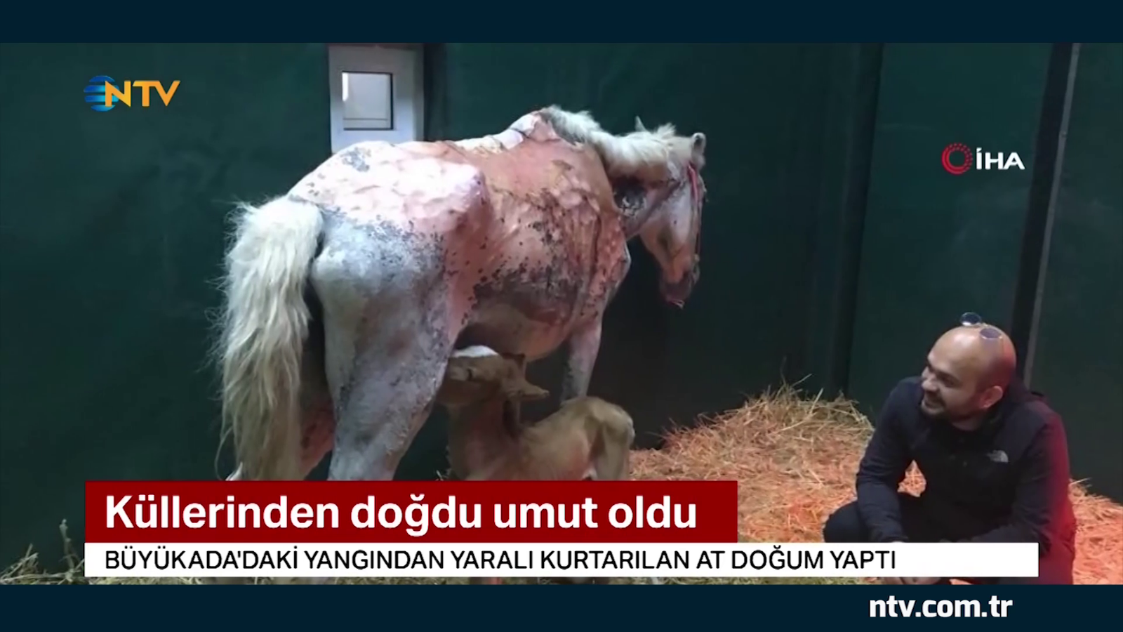 Skura küllerinden doğdu, umut oldu ... (Yavrusuyla fotoğrafı sosyal medyanın gündeminde)