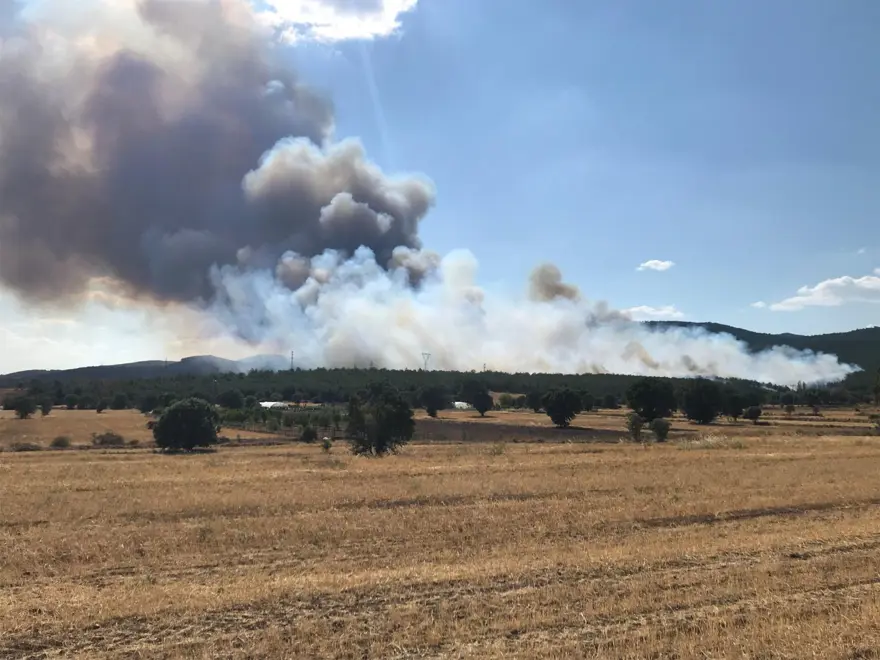 UŞAK'TAKİ YANGINLAR KONTROL ALTINA ALINDI 6