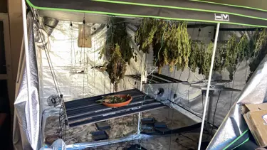 Yangın ihbarına gittiler, uyuşturucu serası buldular