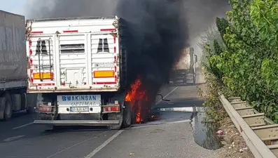 Seyir halindeki TIR alev alev yandı