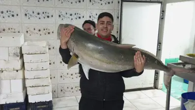 2 kişi 2 saatte zor yakaladı: Tam 50 kilogram ağırlığında