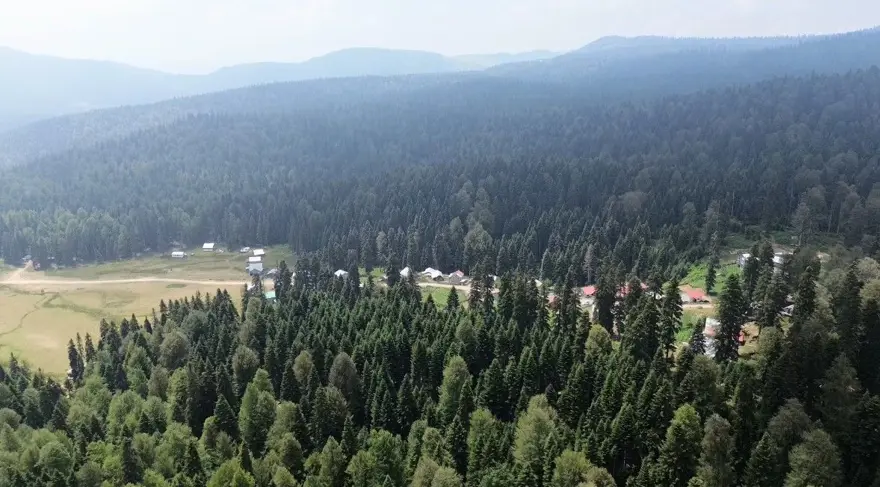 Sıcak havadan bunalan oraya koşuyor! En sıcak günlerde bile 13 derece 3