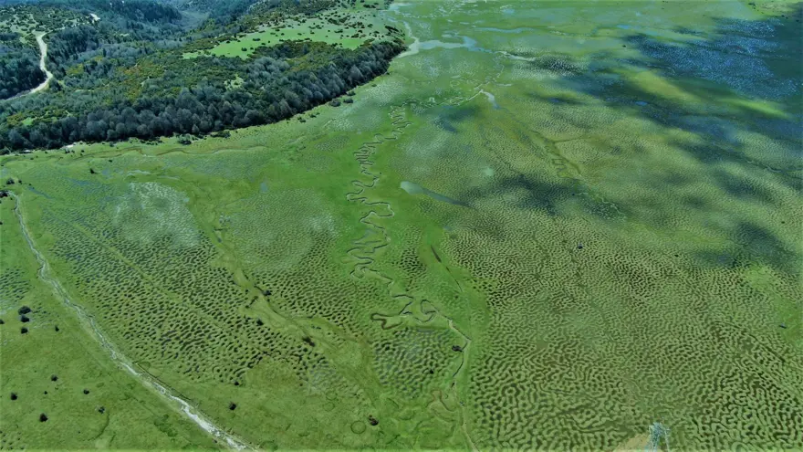 Türkiye'de böylesini hiç görmediniz! Sakarya'daki Karagöl Yaylası hayran bıraktı 2 Türkiye'de böylesini hiç görmediniz! Sakarya'daki Karagöl Yaylası hayran bıraktı 2