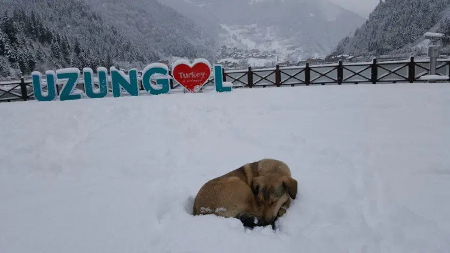 Uzungöl beyaza büründü, seyrine doyumsuz manzaralar oluştu 8