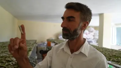 "Böcekle mi uğraşacaksın" diyenlere aldırmadı, binlerce lira kazandı