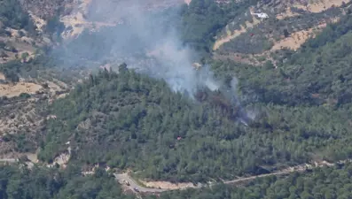 Balıkesir'de orman yangını