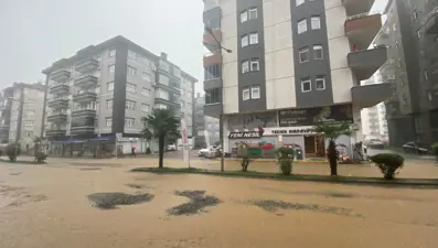 Artvin'de sağanak: Su baskınları ve heyelan oluştu