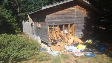 Ayının girdiği barakada hasar oluşturdu