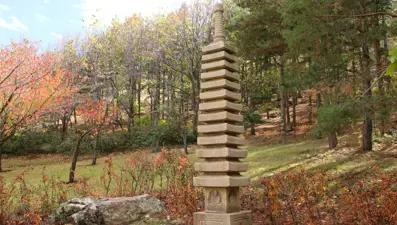 Japonya sınırları dışında bulunan en büyük botanik bahçelerinden birisi: Kırşehir Japon Bahçesi