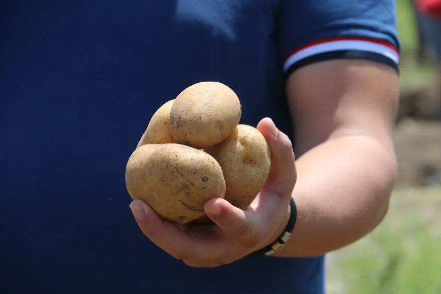 Pazarda, markette 15 TL'ye satılan patatesi bedava dağıttı! Duyanlar akın etti 5 Pazarda, markette 15 TL'ye satılan patatesi bedava dağıttı! Duyanlar akın etti 5