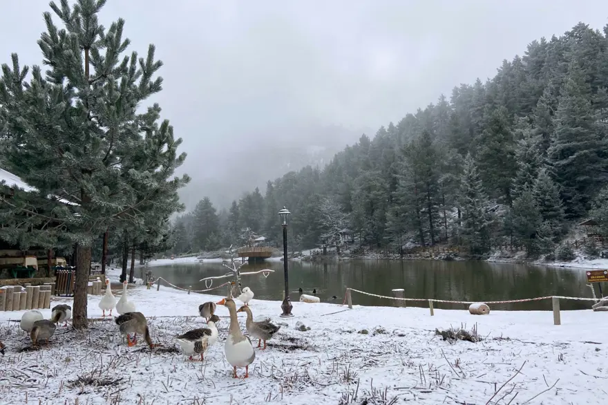 Gümüşhane'nin beyaz cenneti: Limni Gölü 2