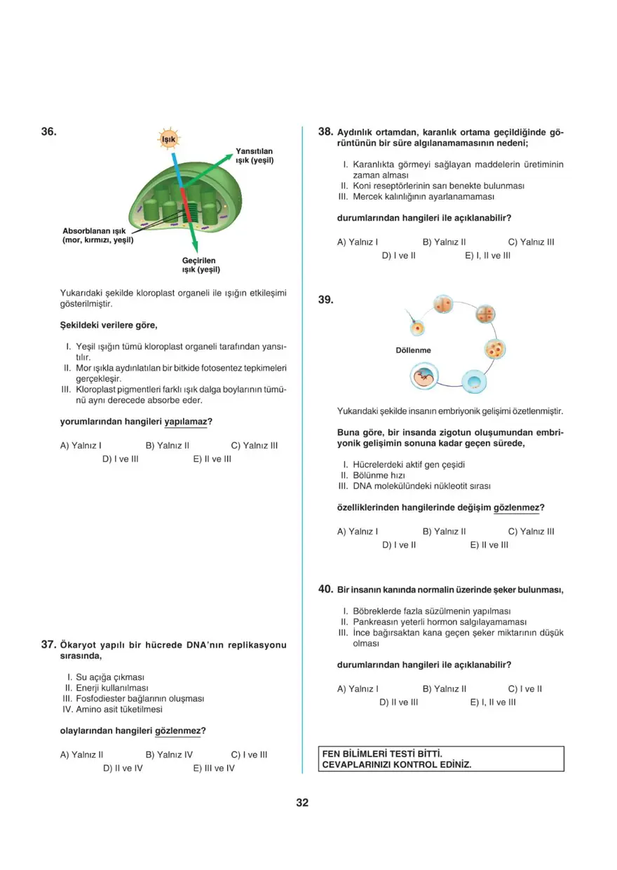 Uğur Okulları AYT -2 deneme sınavı 31