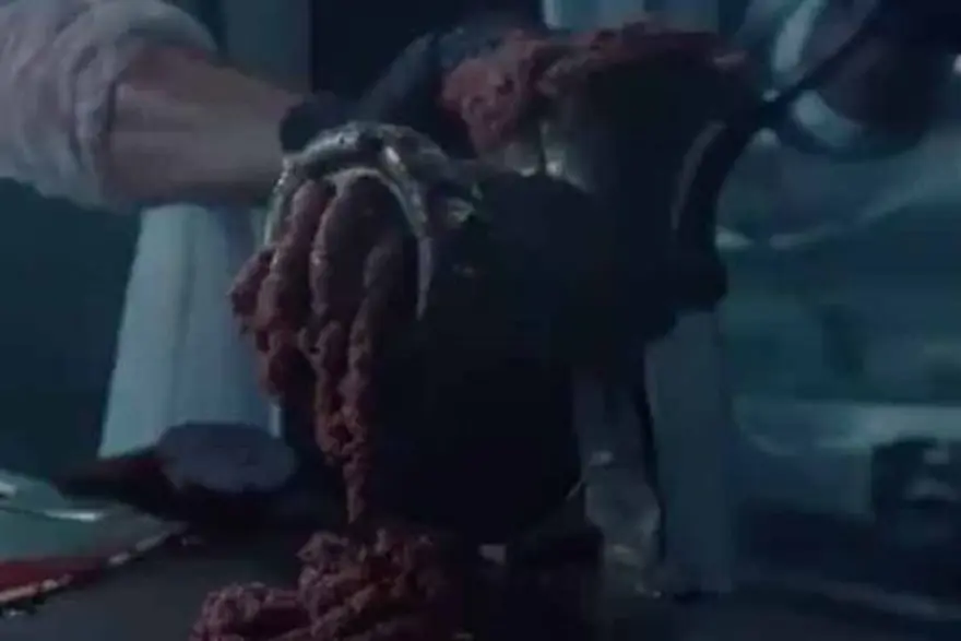 İnsan eti tadında hamburger geliştirildi 1 İnsan eti tadında hamburger geliştirildi 1