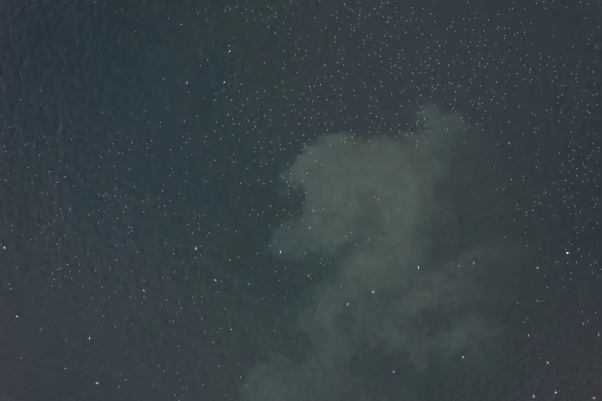 Sarıyer sahilinde atık endişesi 2