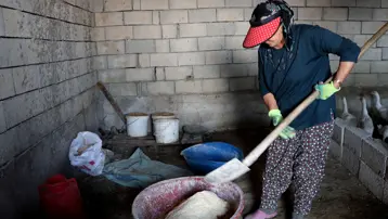 Hobi olarak başlamıştı şimdi çiftlik işletiyor. Evini dönüştürdü